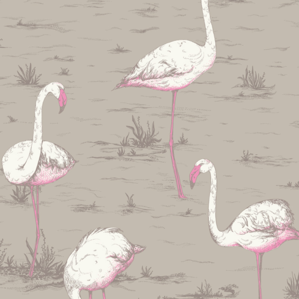 Cole ＆ Son Flamingos / 66/6042（1ｍ単位切売）