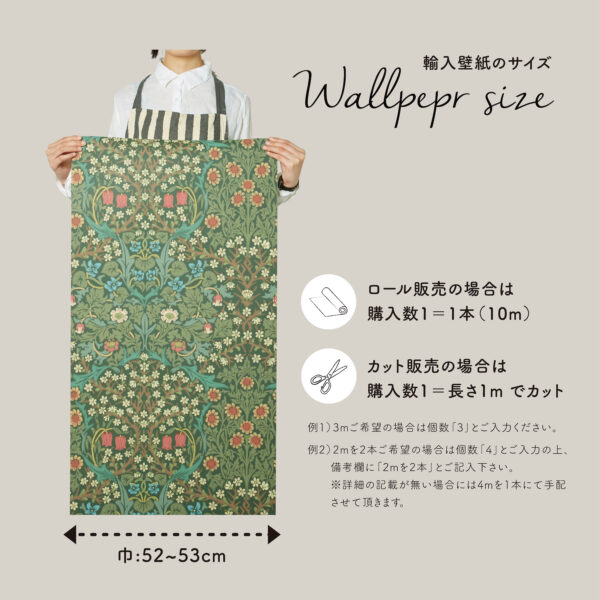 Cole & Son THE NEWCOMTENPORARY COLLECTION 69/12147（1m単位切売）